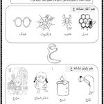 هم آغاز و هم پایان ع