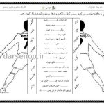 کاربرگ تقارن و فارسی پنجم